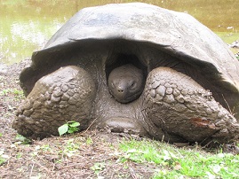 custom Ecuador trips