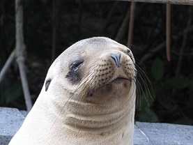 customized tours ecuador