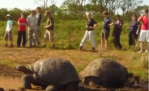 incentive tours group travel galapagos