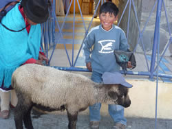 galapagos cruises groups travel