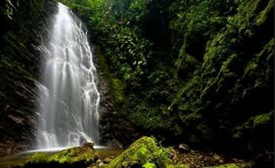 tours to mindo cloud forest